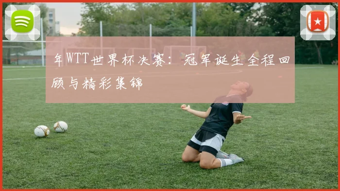 年WTT世界杯决赛:冠军诞生全程回顾与精彩集锦