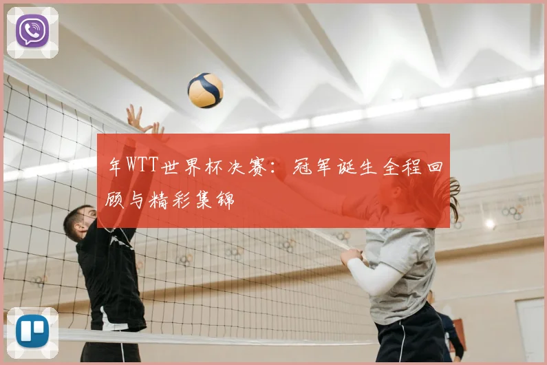 年WTT世界杯决赛:冠军诞生全程回顾与精彩集锦