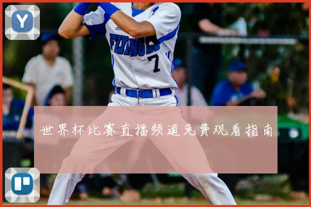 世界杯比赛直播频道免费观看指南