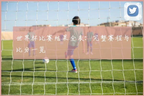 世界杯比赛结果全表：完整赛程与比分一览